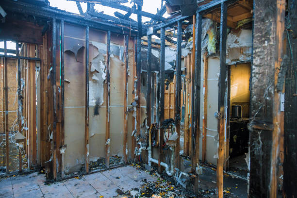 Professional Smoke Damage Removal technician working in North Eastham, MA